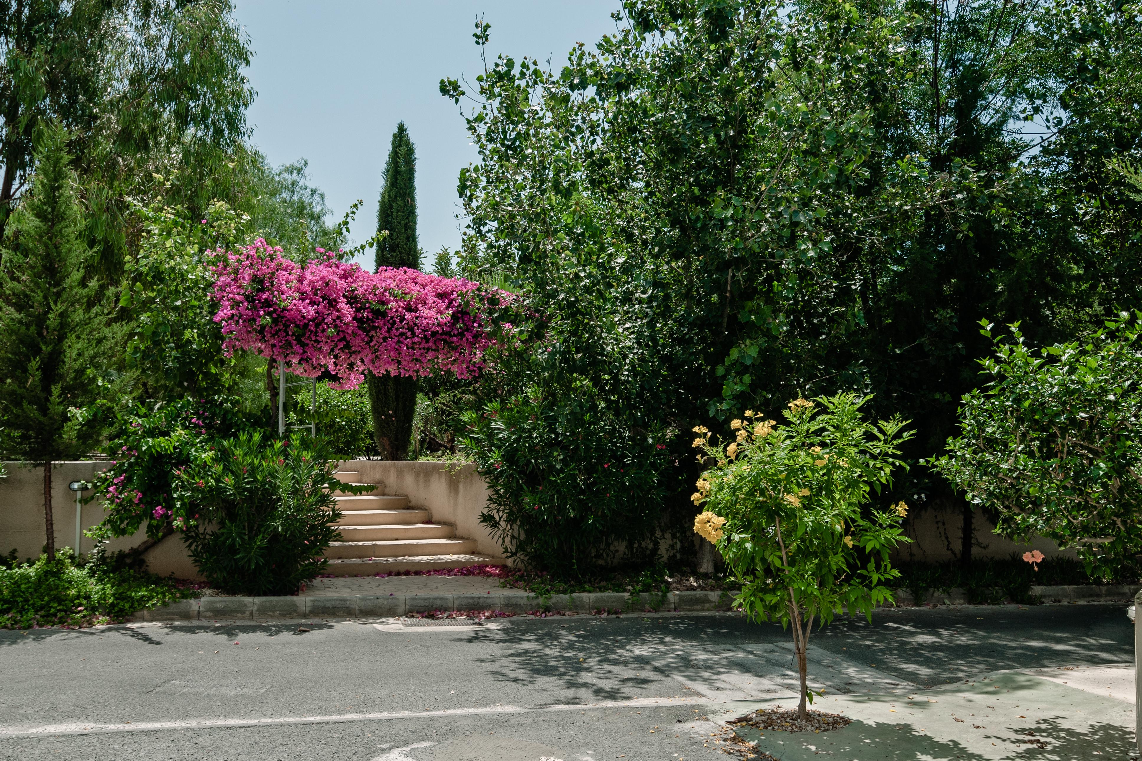 Apartman Artemis Cynthia Complex